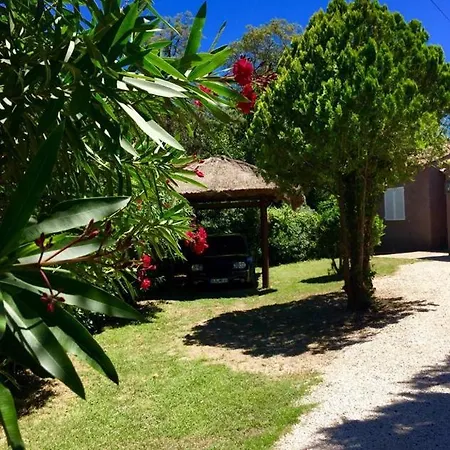 Villa Tikki Fuer 6 Pers., Karibikfeeling Mit Pool Und Garten *